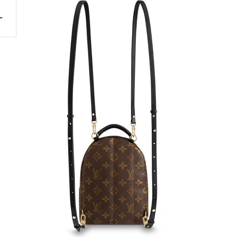Louis Vuitton Palm Springs Mini Brown Monogram Backpack - Picture 2 of 2